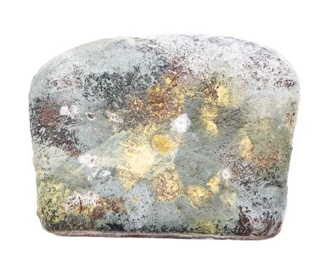 Colorful mold on black bread as a background. 스톡 사진