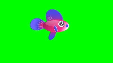Colorful Moving with Fish on Green Screen Chroma Key Background Stockbeeldmateriaal 336959079
