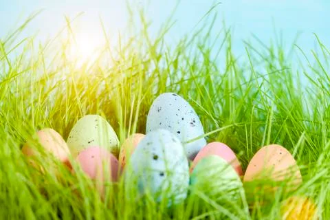 Colorful multi-colored Easter eggs lie on the green grass. The sun illuminate Stock Photos