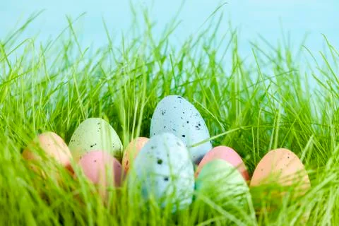 Colorful multi-colored Easter eggs lie on the green grass. Painted eggs on th Stock Photos