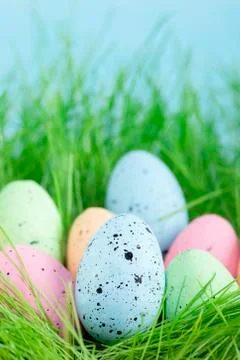 Colorful multi-colored Easter eggs lie on the green grass. Painted eggs on th Stock Photos