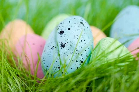Colorful multi-colored Easter eggs lie on the green grass. Painted eggs on th Stock Photos