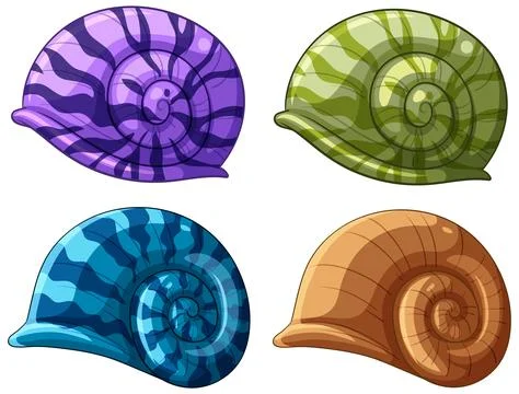 Colorful Nautilus Shells Vector Illustration Illustrazione stock