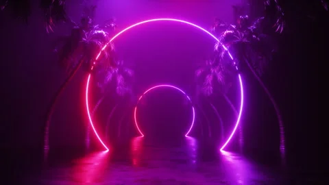 Colorful Neon Frames and Palm Trees Loop Stock Footage 247360315