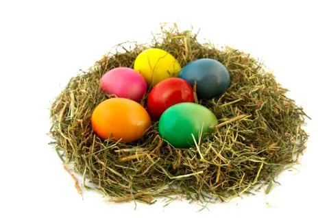 Colorful nest easter eggs Stock Photos