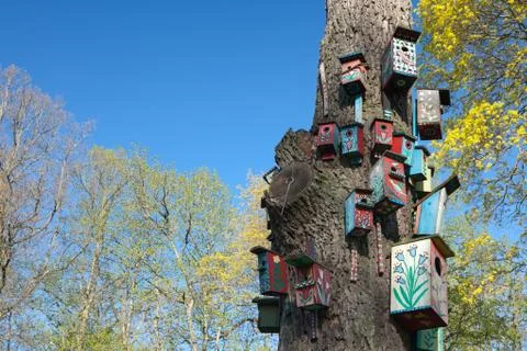 Colorful nesting-boxes Stock Photos