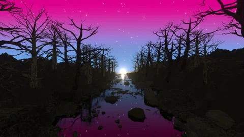 Colorful Night Sky Tree Background Stock Footage 265442068