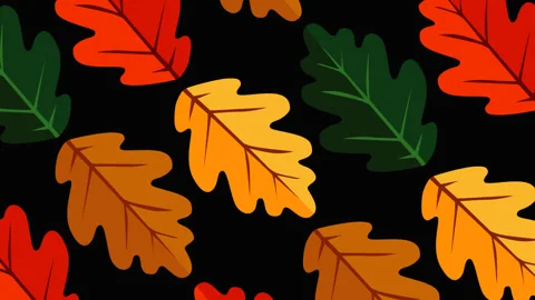 Colorful Oak Leaf Pattern on Black Background Seamless Autumn Nature Footage Stock Footage 339160837