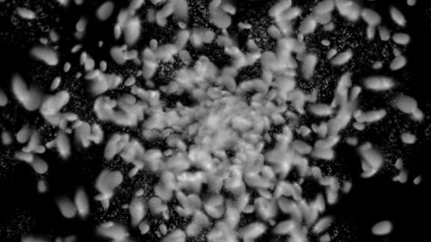 Colorful Objects Falling Against Green Screen Background Stock Footage 303859612