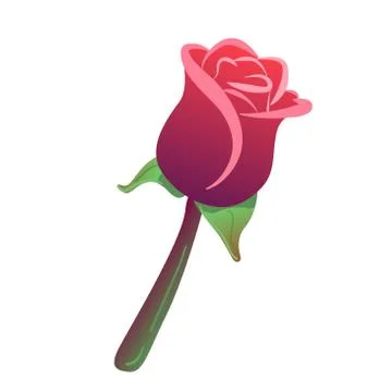 Colorful one red vector rose in beautiful style isolated white background Stock Illustration