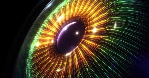 Colorful optical lines forming a digital 3d human eye. Video stock 292013681