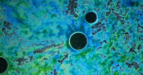 Colorful Organic Patterns Under Microscope at High Magnification Video stock 294263895