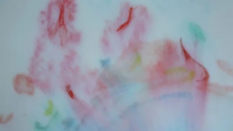 Colorful paint stains. Ink is spreading. Video Stock Footage 123777944