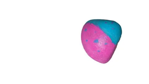 Colorful Painted Decorative Shell Isolated on White Background 库存照片