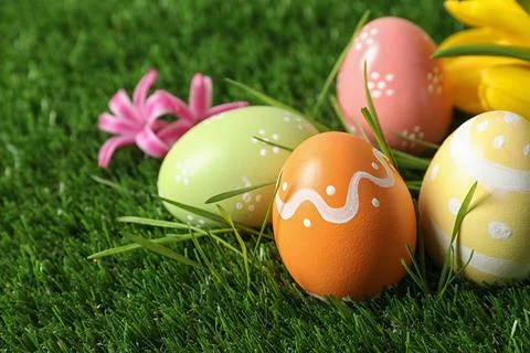 Colorful painted Easter eggs and flowers on green grass, closeup. Space for t Foto stock