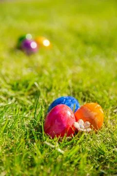 Colorful painted Easter eggs in the bright fresh green grass, concept for Easter Stock Photos