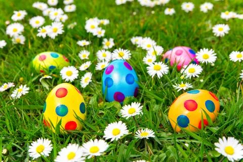 Colorful painted easter eggs in grass with daisies Stock Photos