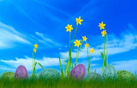 Colorful painted easter eggs on grass with daffodils and blue sky Stock Photos