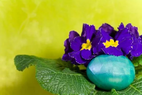 Colorful painted Easter eggs Stock Photos