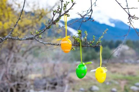 Colorful painted Easter eggs on the tree Stock Photos