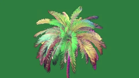 A colorful palm tree on green background and screen isolated isolated on green Stock-Footage 336858882