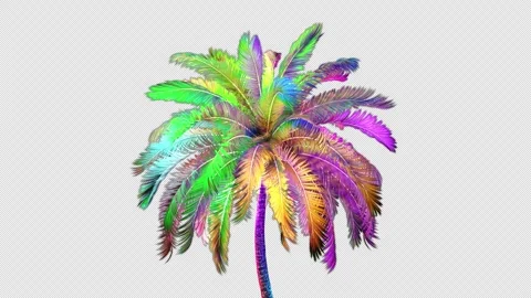 Colorful Palm Tree Rotating 스톡 동영상 249225388