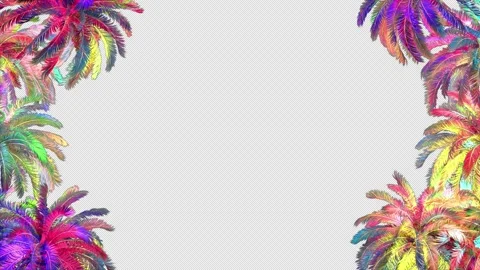 Colorful Palm Trees Frame 스톡 동영상 249214700