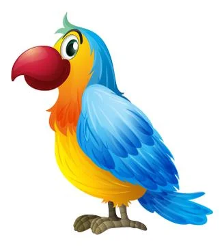 A colorful parrot Stock Illustration