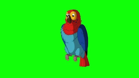 Colorful Parrot Talks 動画素材 71194299