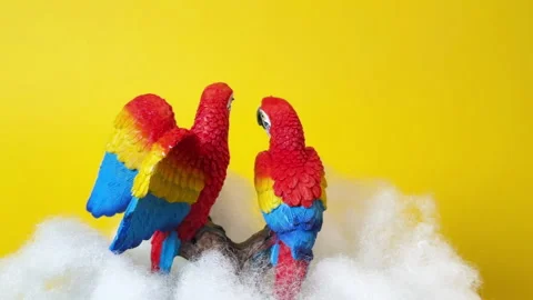 Colorful Parrots 360 Spin on Cloud Background Stock Footage 307677860