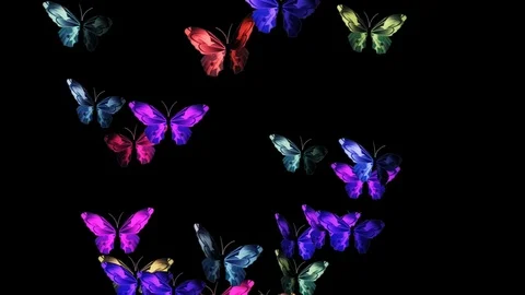 Colorful particle butterflies flying up over back background Stock Footage