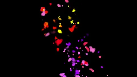 Colorful particle explosion Stock-Footage 342582428