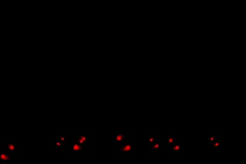 Colorful particles on lower section of screen - digital animation Stock Footage 124835