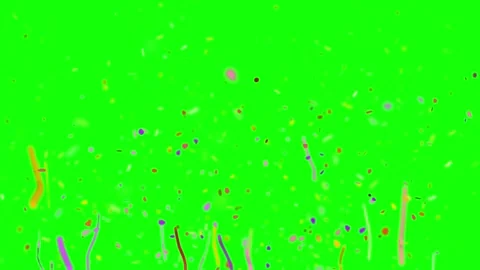 Colorful party streamers exploding. Festive confetti ribbons isolated on green Video stock 340735944