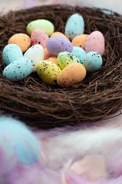 Colorful pastel colored easter eggs in bird's nest top view with bright Stock Photos