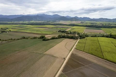 A Colorful Patchwork Of Sugarcane Fields From The Air Fotos de archivo