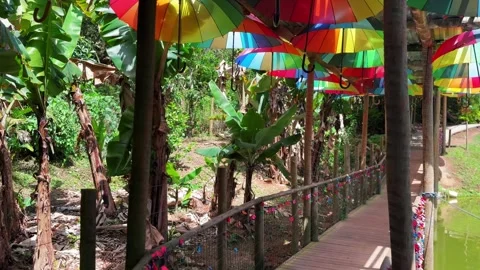 Colorful pathway Stock Footage 321471526