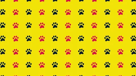 Colorful pattern of black and pink cat paws on yellow background. Seamless Video stock 169242779