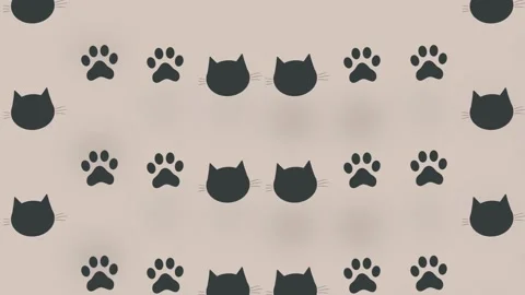 Colorful pattern of black cat heads and paws. Seamless pattern with cat paw and Video stock 169240076