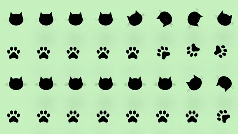 Colorful pattern of black cat heads and paws on green background. Seamless Video stock 169241106