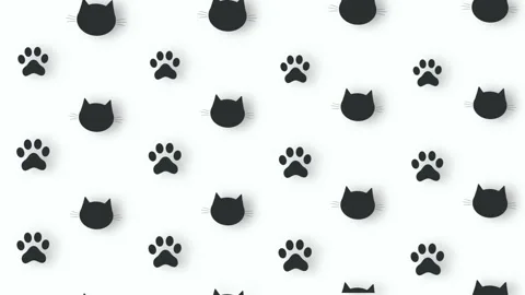 Colorful pattern of black cat heads and paws on white background with shadows Video stock 169241685