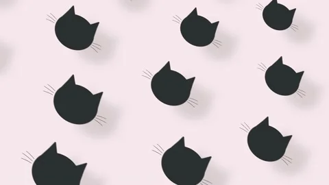 Colorful pattern of black cat heads. Seamless pattern with cat faces. Top view Stock Footage 169242092