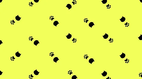 Colorful pattern of black cat heads and paws on yellow background. Seamless Video stock 169243233