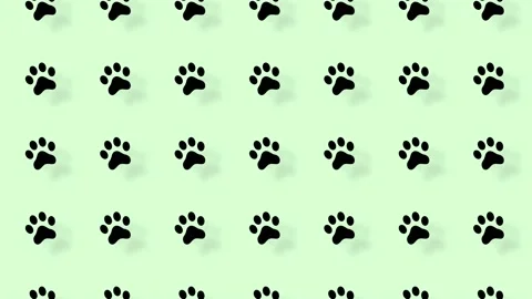 Colorful pattern of cat paws on green background with shadows. Seamless pattern Video stock 169242635