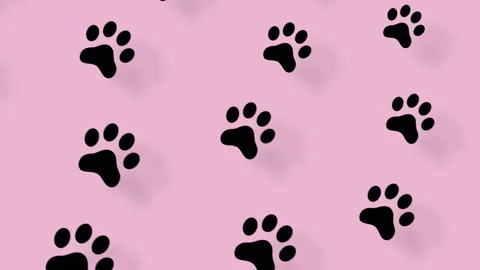Colorful pattern of cat paws on pink background with shadows. Seamless pattern Video stock 169242290
