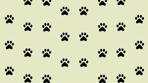 Colorful pattern of cat paws. Seamless pattern with cat paw. Top view. Dog, cat Video stock 169240171