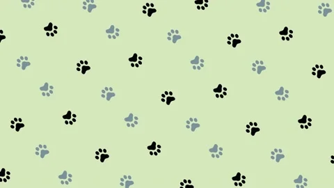 Colorful pattern of cat paws. Seamless pattern with cat paw. Top view. Dog, cat Video stock 169240364