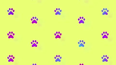 Colorful pattern of cat paws. Seamless pattern with cat paw. Top view. Animal Video stock 169242600