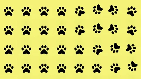 Colorful pattern of cat paws on yellow background. Seamless pattern with cat paw Video stock 169241314