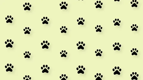 Colorful pattern of cat paws on yellow background. Seamless pattern with cat paw Video stock 169241813